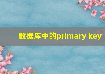 数据库中的primary key